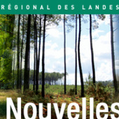 Parc Régional Naturel des Landes de Gascogne