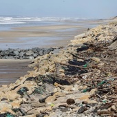 Les tempêtes ont fait reculer le littoral aquitain de 40 mètres par endroits