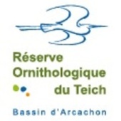 Réserve ornithologique du Teich